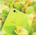 Xperia Z1C Thumb