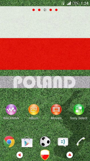 Poland_1_result